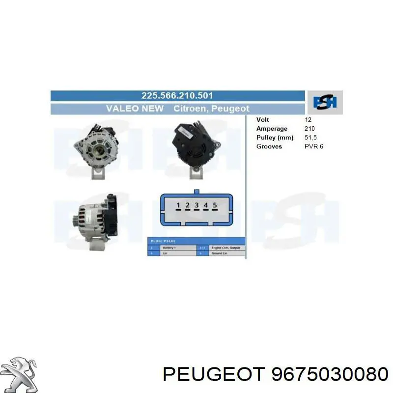 9675030080 Peugeot/Citroen Alternator