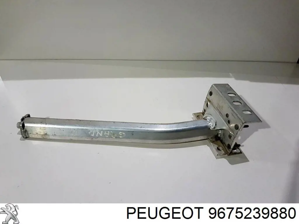 9675239880 Peugeot/Citroen 