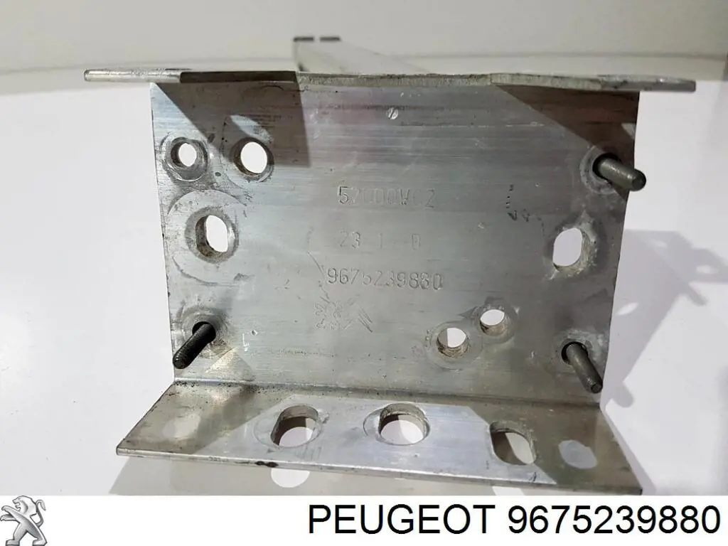 Do koszyka 9675239880 Peugeot/Citroen 