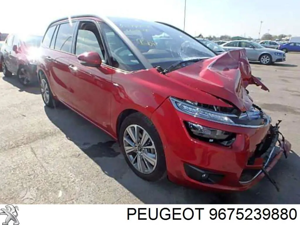  Peugeot/Citroen 9675239880 cena, od 91,94 USD