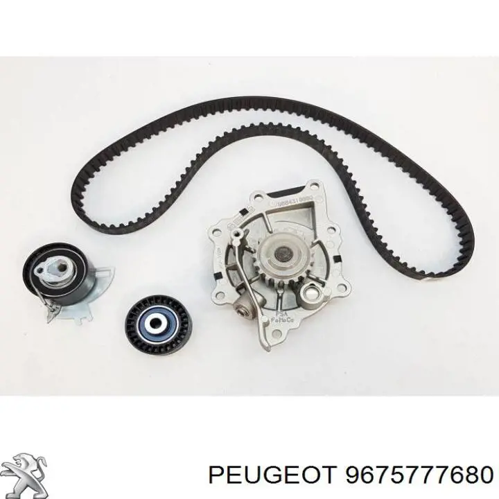 Do koszyka 9675777680 Peugeot/Citroen Napinacz łańcucha rozrządu