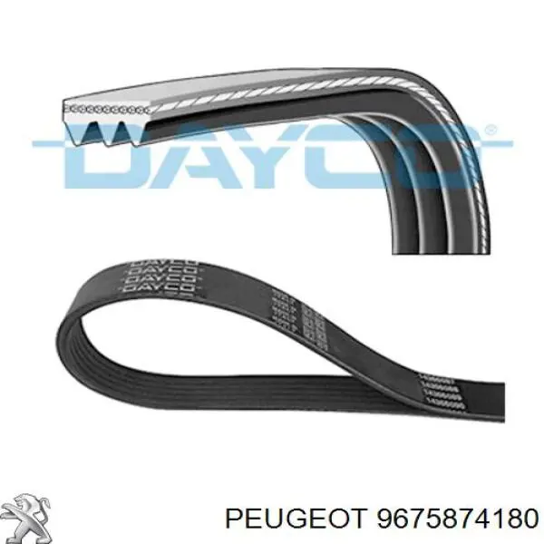 9675874180 Peugeot/Citroen Pas napędowy mechanizmów