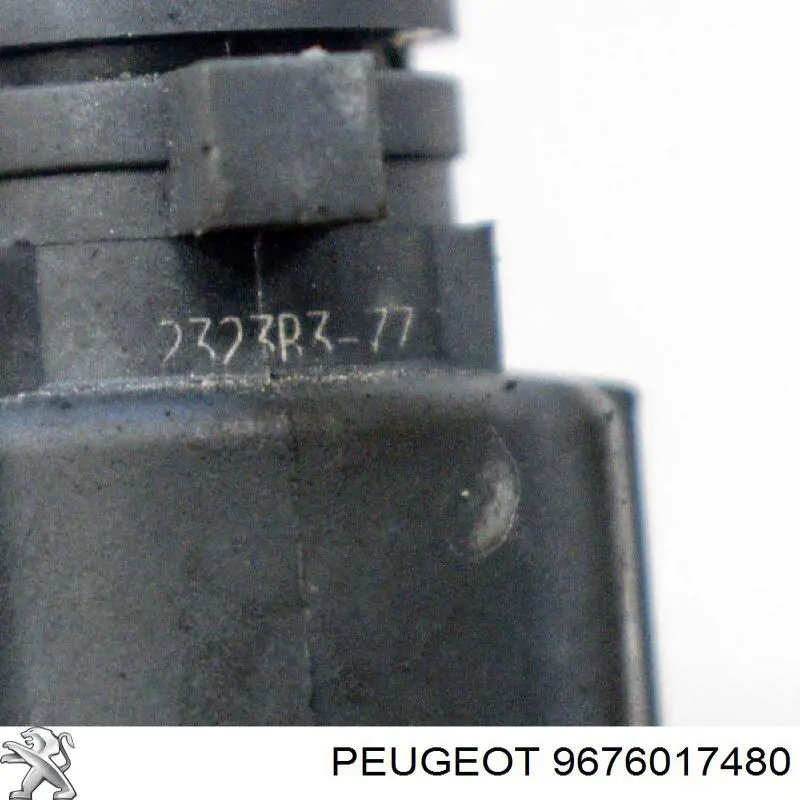 9676017480 Peugeot/Citroen Wtryskiwacz paliwa