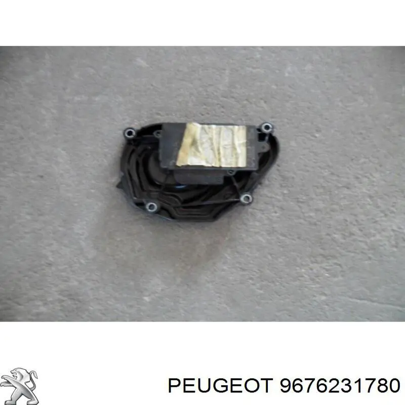 9676231780 Peugeot/Citroen Zaślepka głowicy cylindrów/bloku cylindrów
