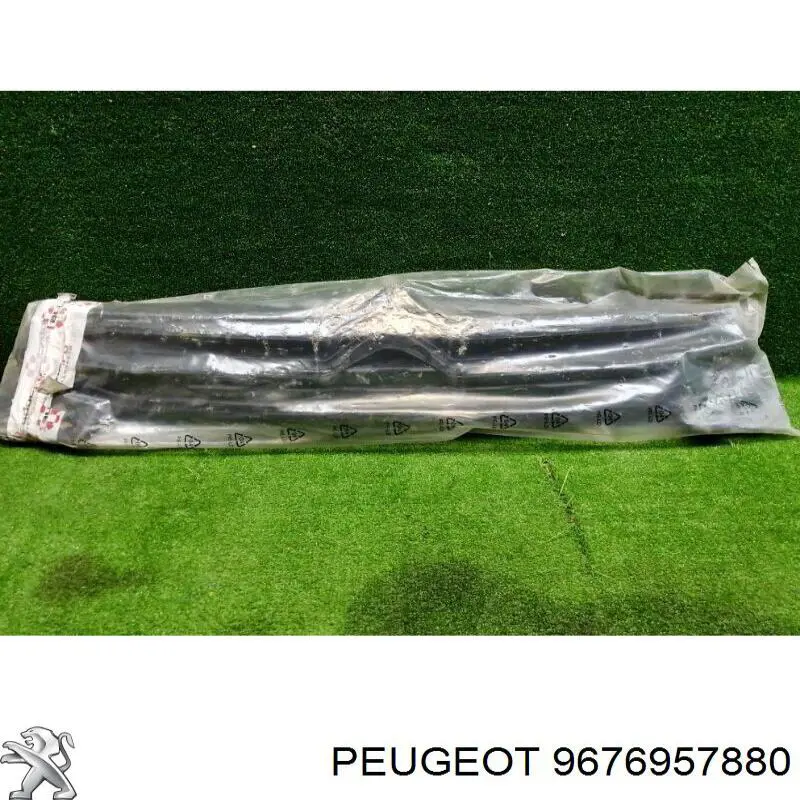 Atrapa chłodnicy Citroen C-Elysee sedana (2013 - 2026) cena, od 101,95 USD
