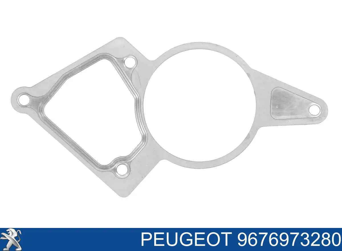 9676973280 Peugeot/Citroen Uszczelka pompy próżniowej
