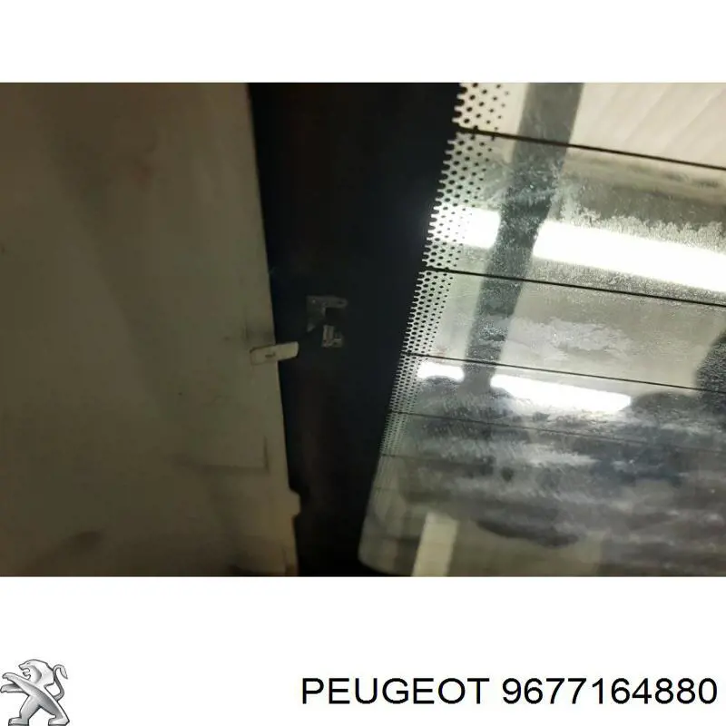 Szyba tylna Peugeot 301 