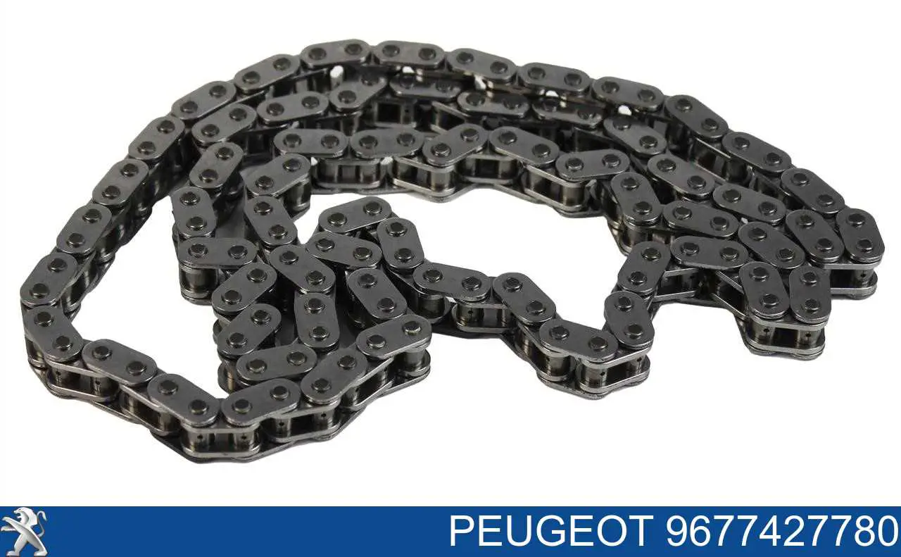 9677427780 Peugeot/Citroen Łańcuch rozrządu