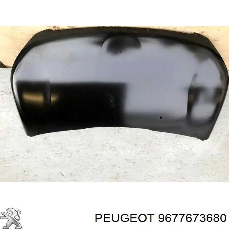 9677673680 Peugeot/Citroen Maska silnika