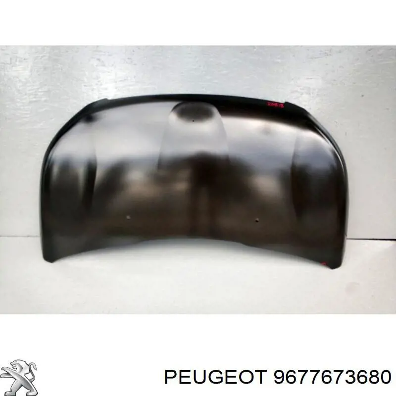 Do koszyka 9677673680 Peugeot/Citroen Maska silnika