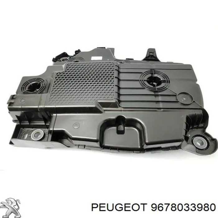 Dodatki do układu paliwowego Diesel Peugeot/Citroen 9678033980