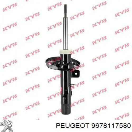 Amortyzator tylny Ford CT4Z18125A cena, od 104,35 USD