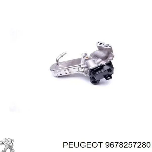 9678257280 Peugeot/Citroen Chłodnica układu recyrkulacji spalin EGR