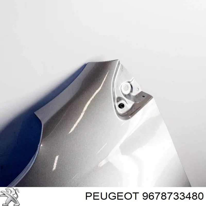 9678733480 Peugeot/Citroen Błotnik przedni lewy