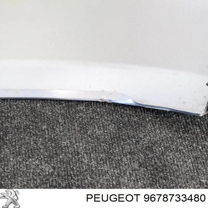 9678733480 Peugeot/Citroen Błotnik przedni lewy