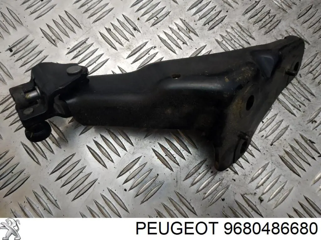 Do koszyka 9680486680 Peugeot/Citroen 