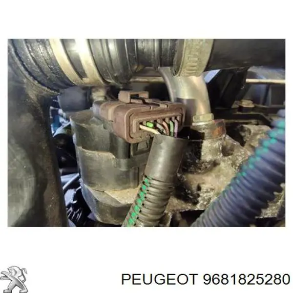 9681825280 Peugeot/Citroen zawór recyrkulacji spalin egr