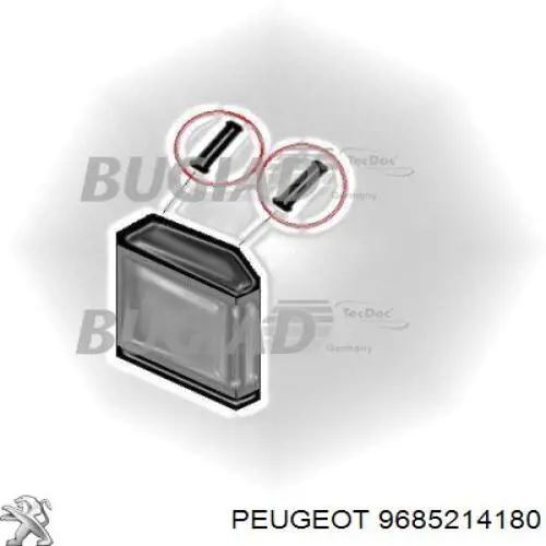 9685214180 Peugeot/Citroen Przewód (króciec) intercoolera