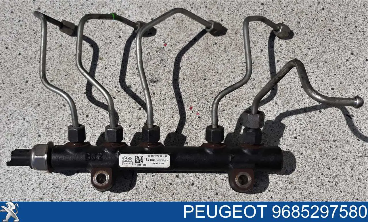 Rozdzielacz paliwa Peugeot/Citroen 9685297580 cena, od 86,92 USD