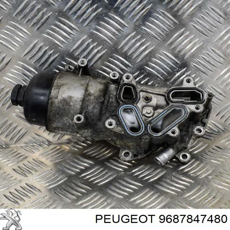 9687847480 Peugeot/Citroen Obudowa filtra oleju