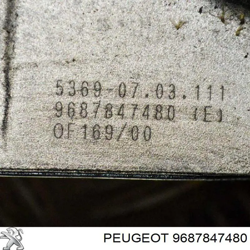 Do koszyka 9687847480 Peugeot/Citroen Obudowa filtra oleju