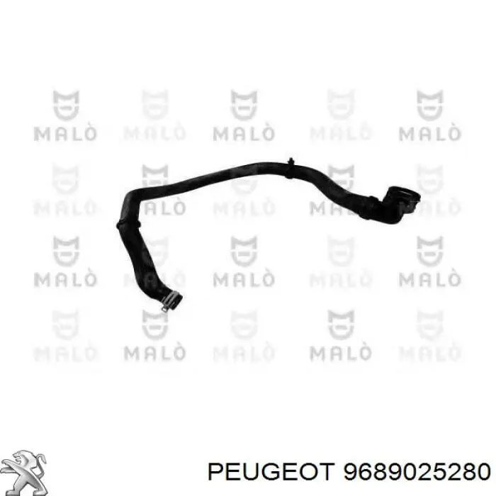 Przewód (króciec) chłodnicy dolny Peugeot/Citroen 9689025280 cena, od 45,00 USD