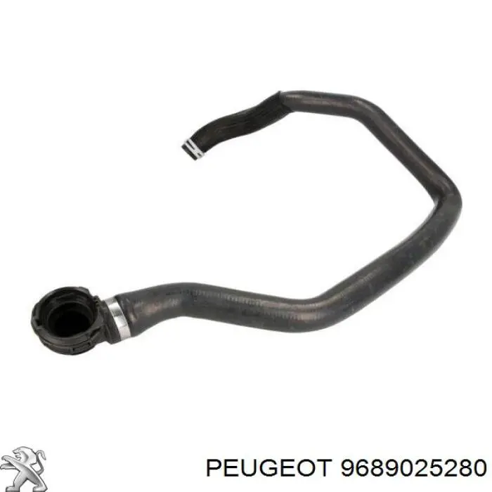 Do koszyka 9689025280 Peugeot/Citroen Przewód (króciec) chłodnicy dolny