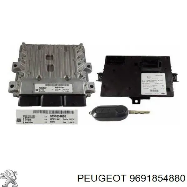 Sterownik silnika Peugeot/Citroen 9691680480 cena, od 1648,27 USD