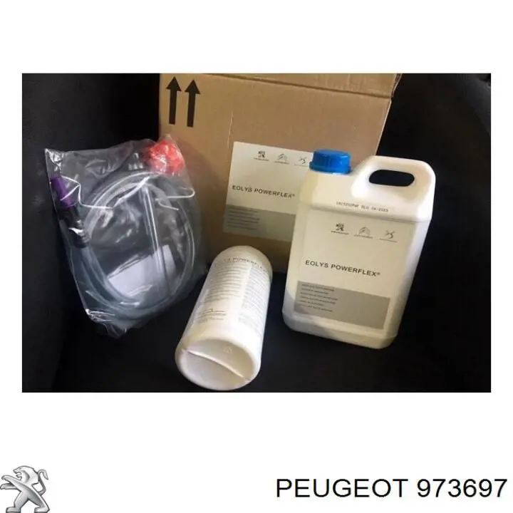 Do koszyka 973697 Peugeot/Citroen Płyn do filtrów cząstek stałych