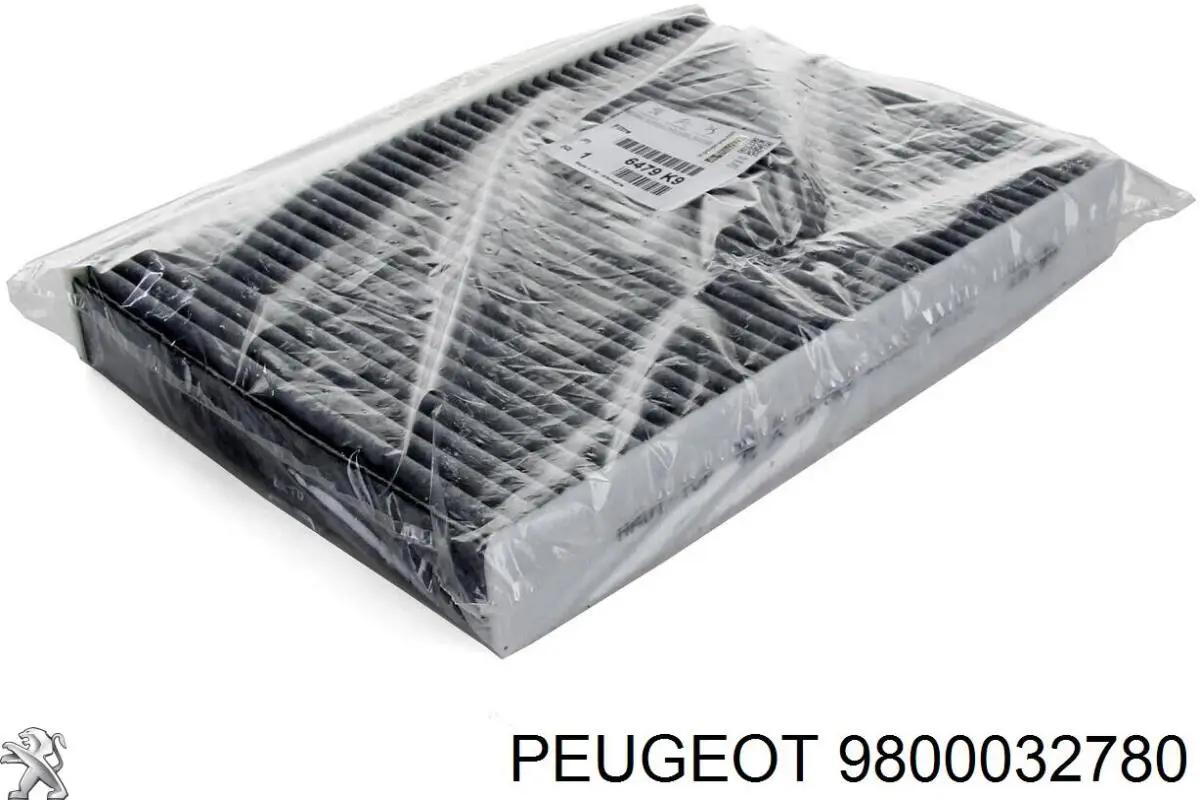 Do koszyka 9800032780 Peugeot/Citroen Filtr paliwa