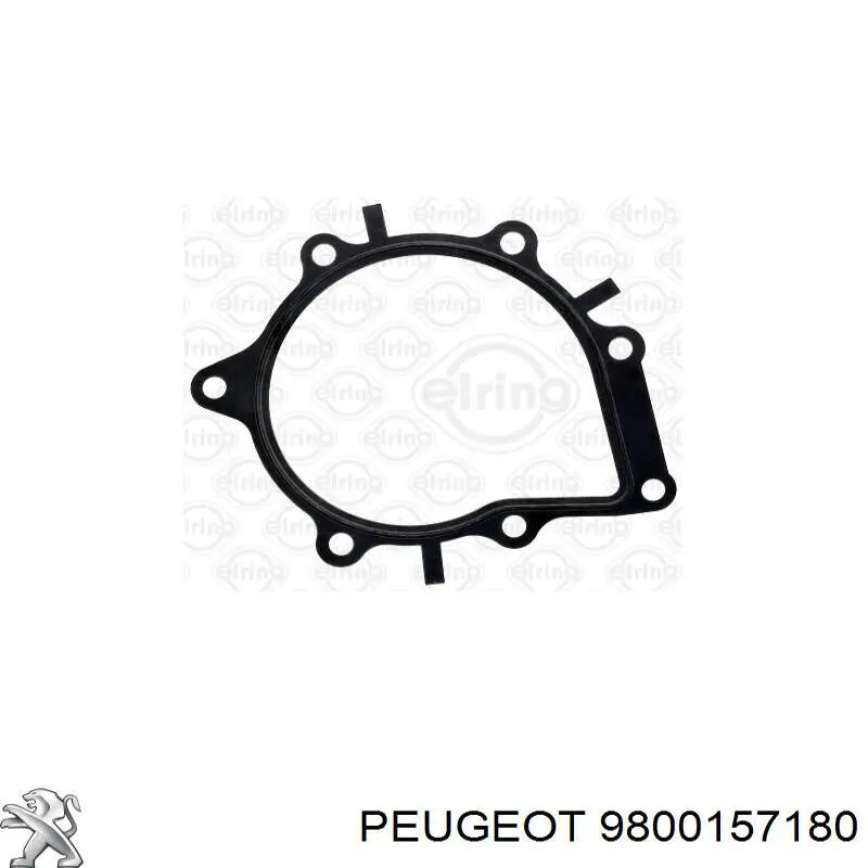 Do koszyka 9800157180 Peugeot/Citroen Uszczelka pompy próżniowej