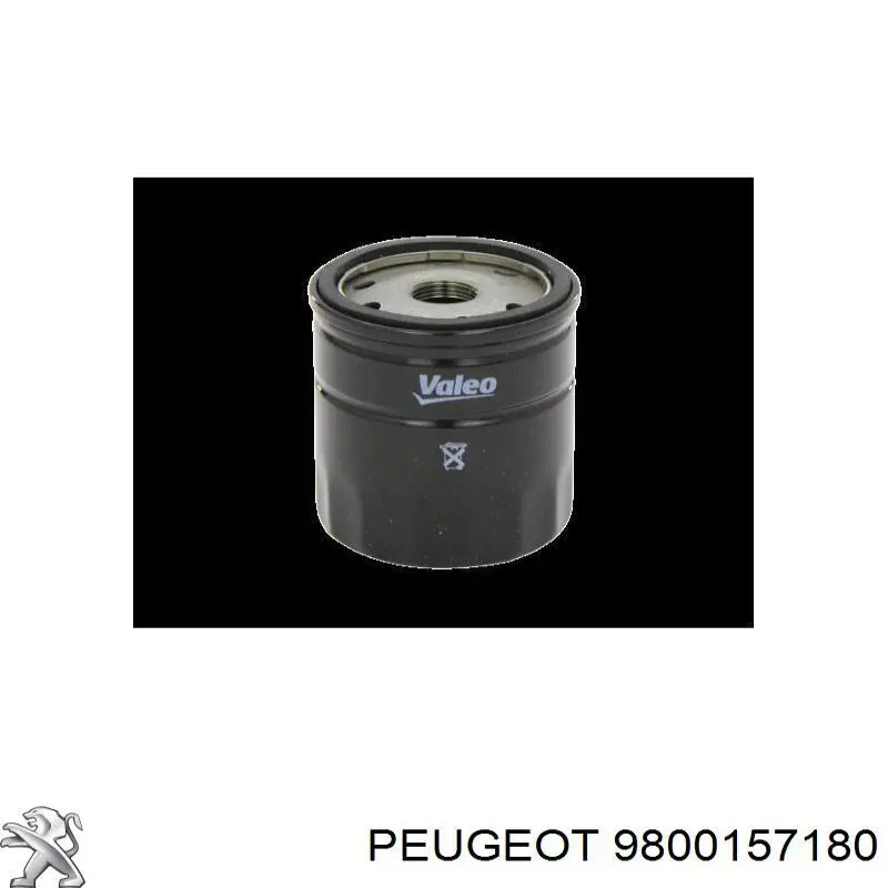 Uszczelka pompy próżniowej Peugeot/Citroen 9800157180