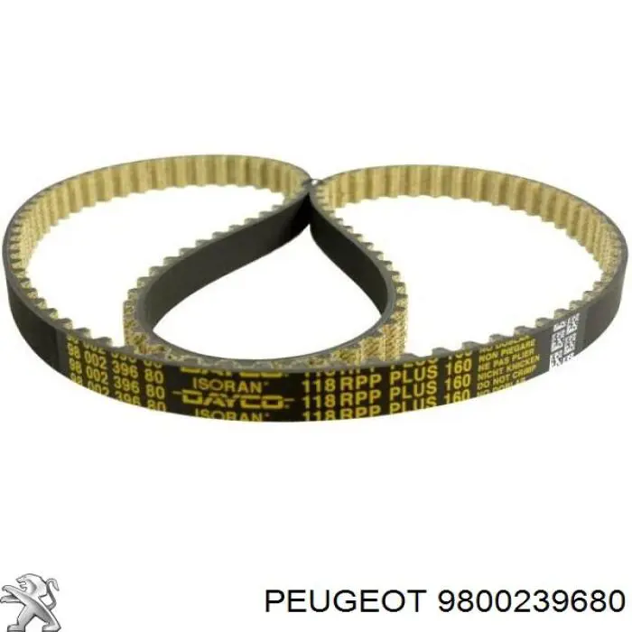 Pasek rozrządu Peugeot/Citroen 9800239680 cena, od 51,17 USD