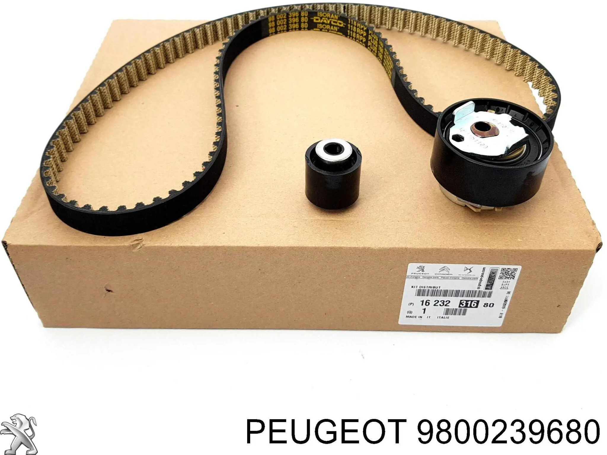 9800239680 Peugeot/Citroen Pasek rozrządu