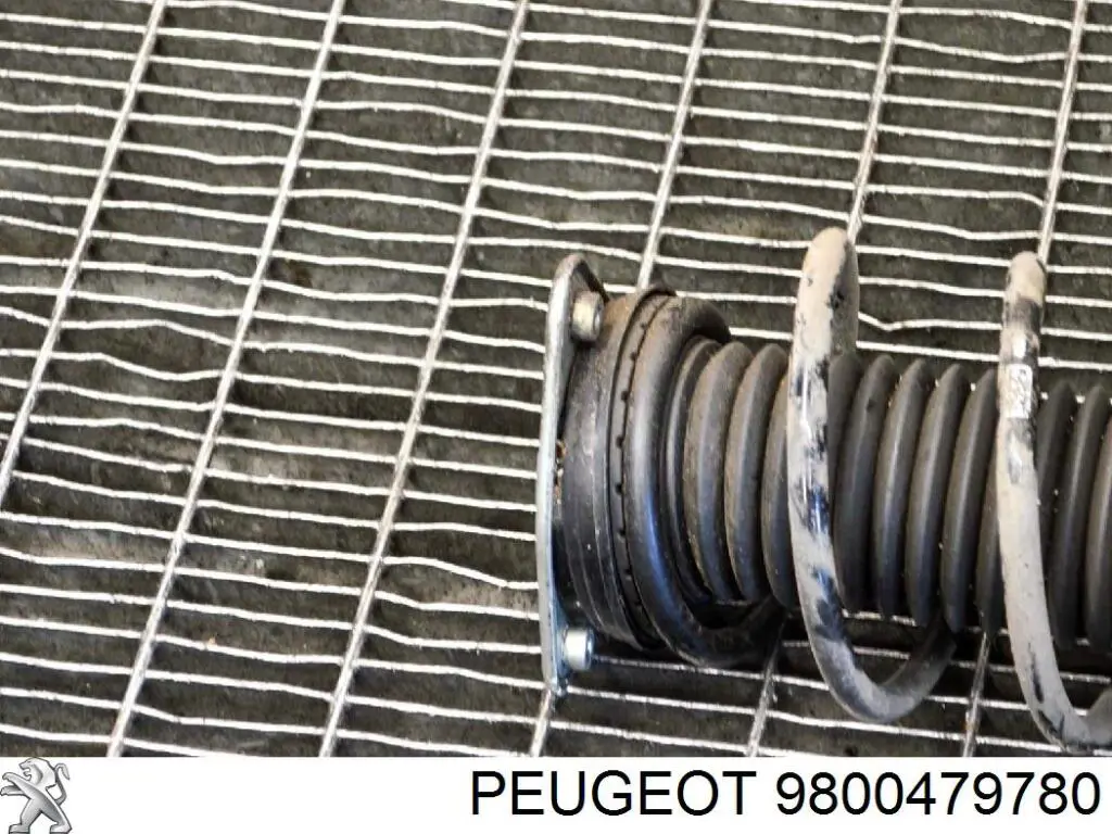 9800479780 Peugeot/Citroen Poduszka amortyzatora przedniego