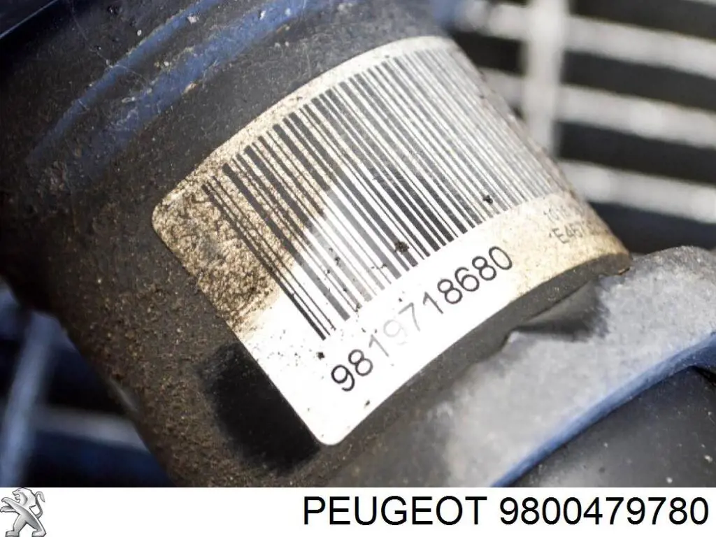 Poduszka amortyzatora przedniego 9800479780 Peugeot/Citroen