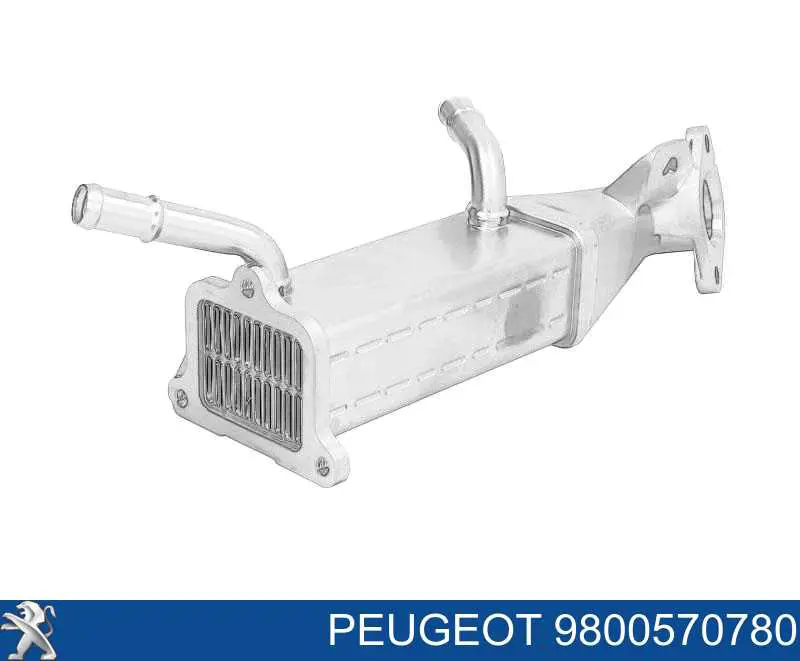 9800570780 Peugeot/Citroen Chłodnica układu recyrkulacji spalin EGR