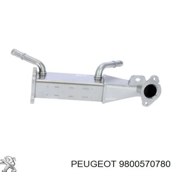 Do koszyka 9800570780 Peugeot/Citroen Chłodnica układu recyrkulacji spalin EGR