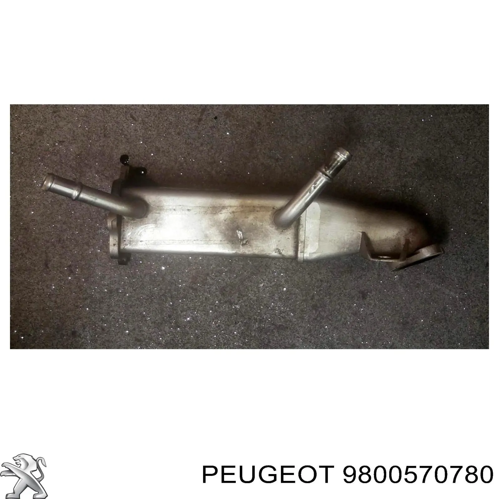 Chłodnica układu recyrkulacji spalin EGR Peugeot/Citroen 9800570780 cena, od 191,22 USD