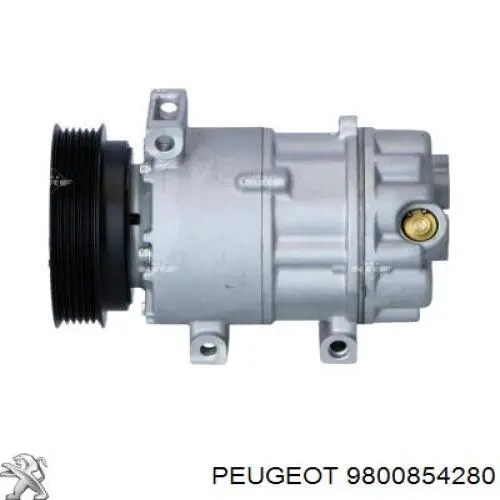 Do koszyka 9800854280 Peugeot/Citroen Sprężarka klimatyzacji