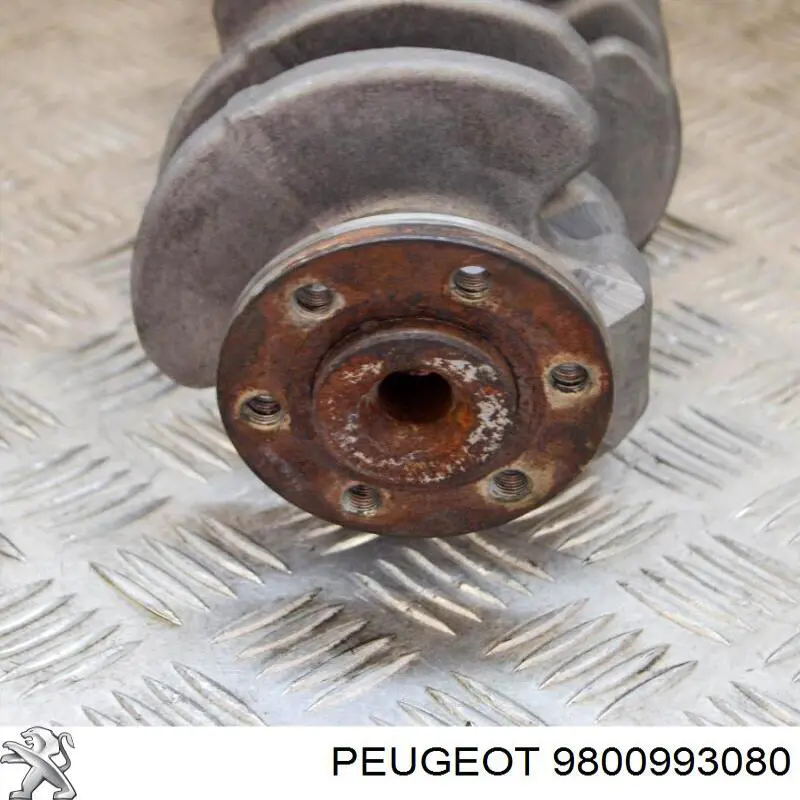 Do koszyka 9800993080 Peugeot/Citroen Wał korbowy silnika