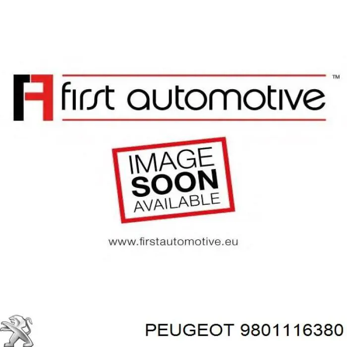 Filtr paliwa Peugeot/Citroen 9801116380 cena, od 14,63 USD