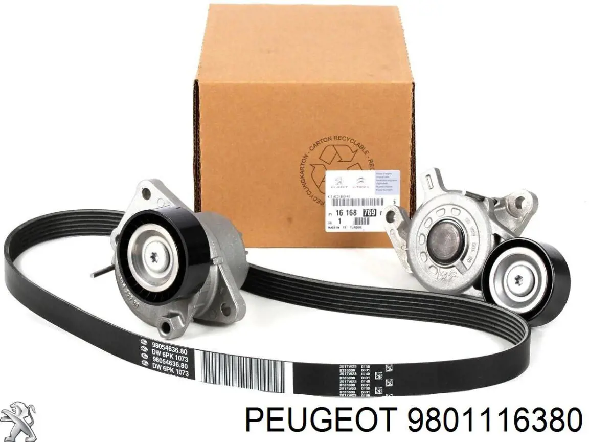 Filtr paliwa Peugeot/Citroen 9801116380