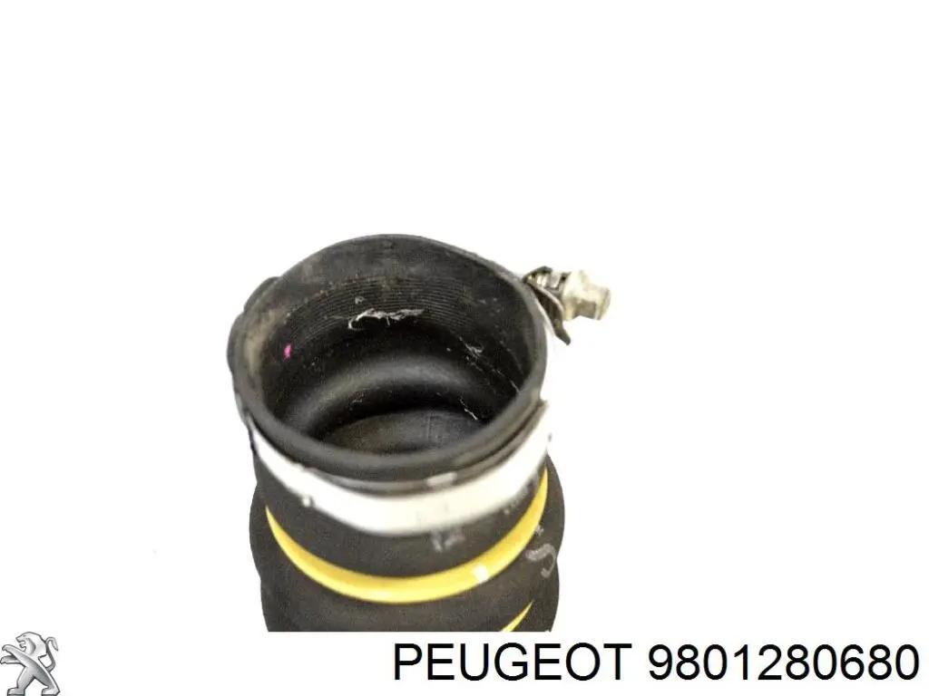 9801280680 Peugeot/Citroen Przewód (króciec) intercoolera