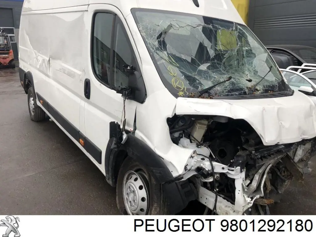 Do koszyka 9801292180 Peugeot/Citroen 