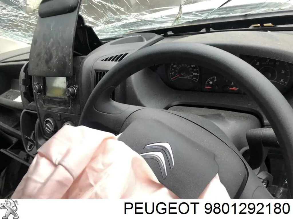  Peugeot/Citroen 9801292180 cena, od 61,29 USD