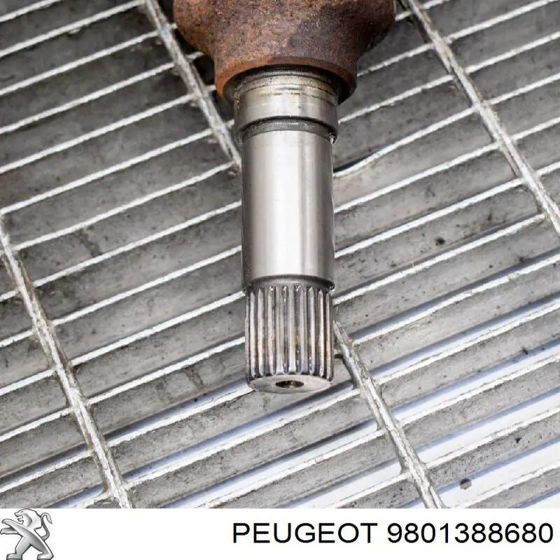Przegub homokinetyczny przedni zewnętrzny Peugeot/Citroen 9801388680 cena, od 64,70 USD