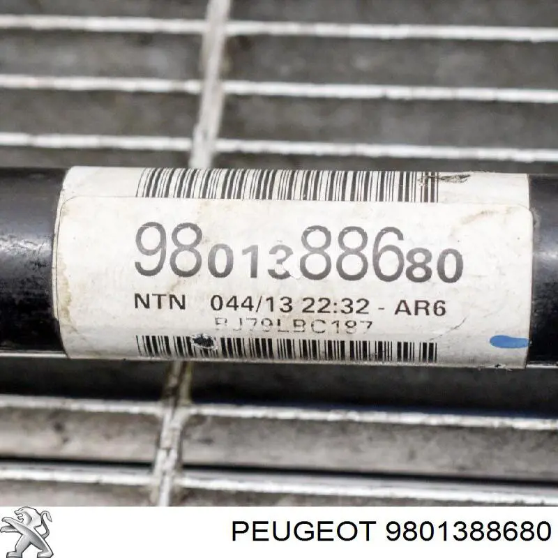 Do koszyka 9801388680 Peugeot/Citroen Przegub homokinetyczny przedni zewnętrzny