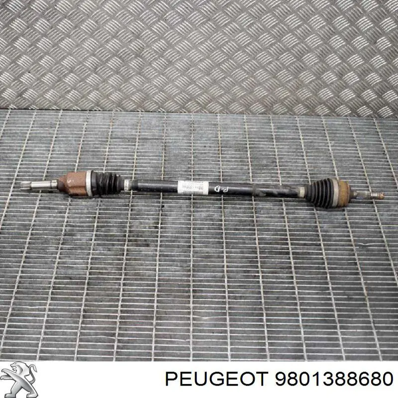 9801388680 Peugeot/Citroen Przegub homokinetyczny przedni zewnętrzny