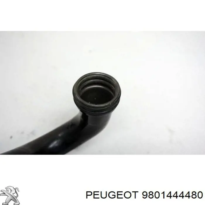 Przewód (króciec) układu chłodzenia Peugeot/Citroen 9801444480 cena, od 54,77 USD